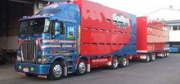 Gordon Transport